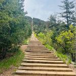 The Incline