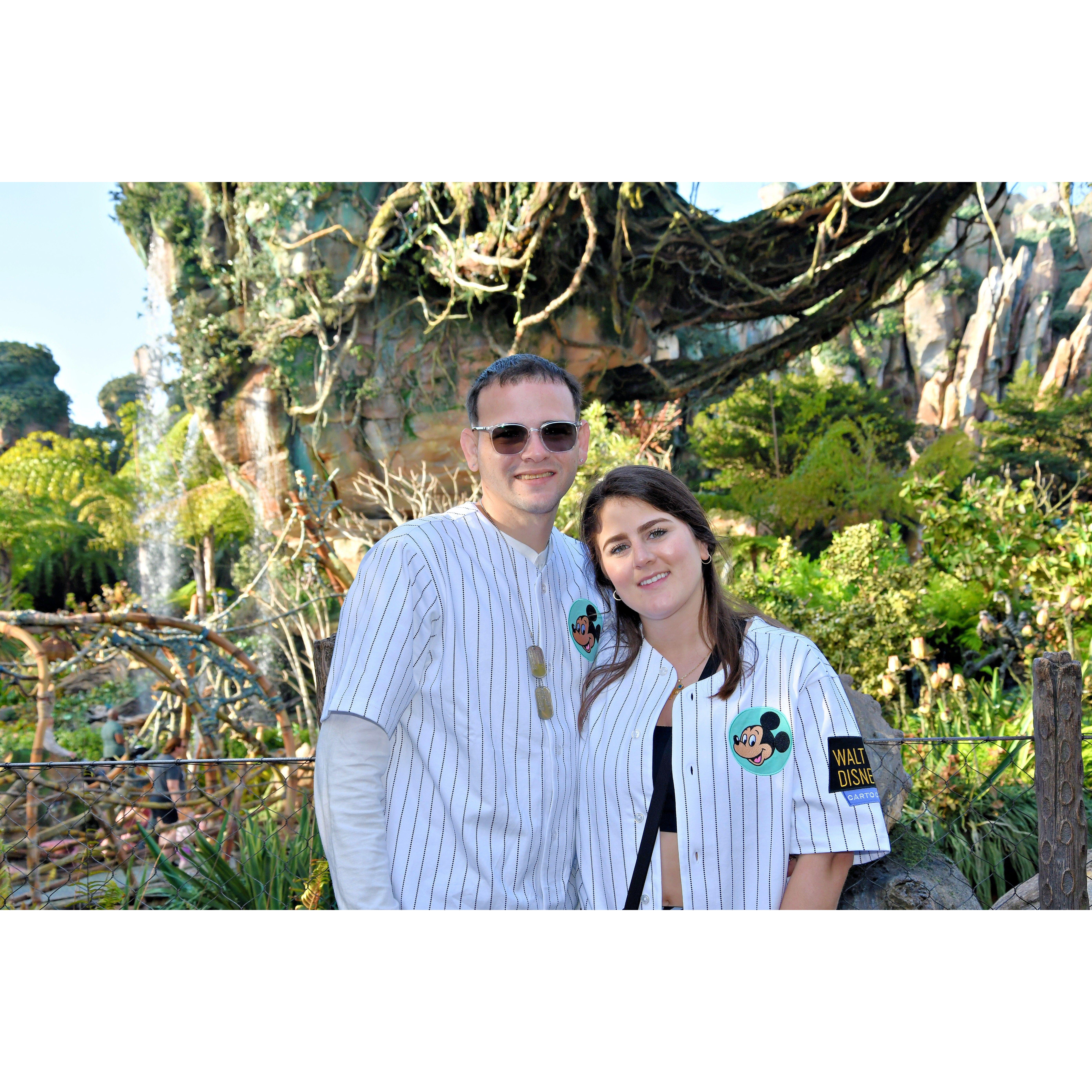 Animal Kingdom