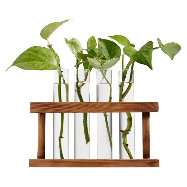 D'Eco Glass Plant Propagation Station - Grow Hydroponic Plants - Holiday Christmas Gift for Plant Lovers