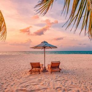 Honeymoon Fund