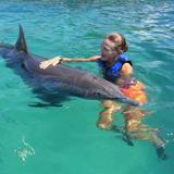 Coral World Ocean Park