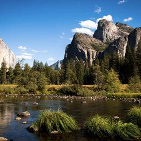 Yosemite National Park (CA)
