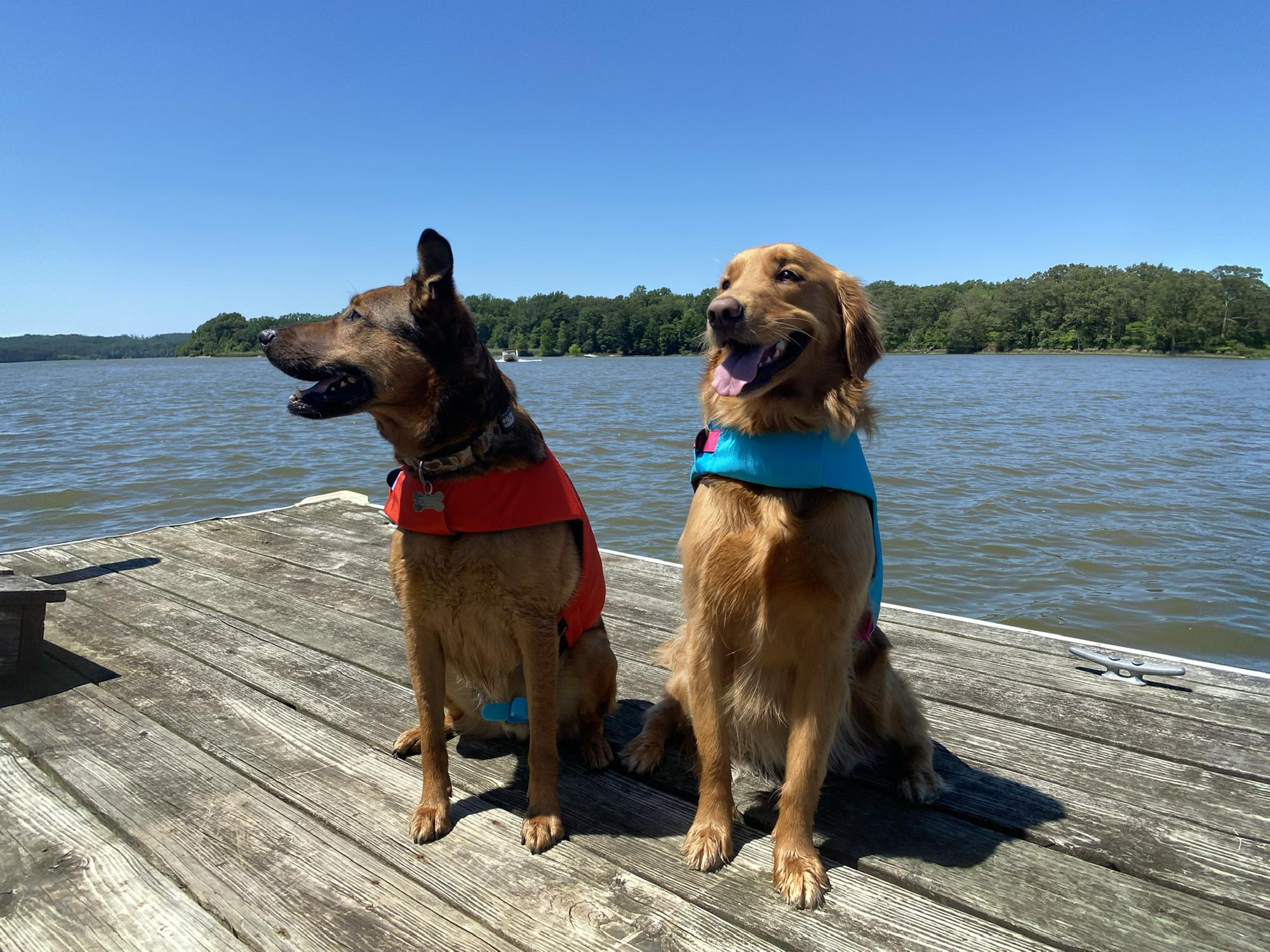 More dockside swimming