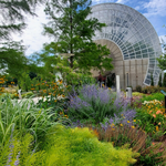 Myriad Botanical Gardens