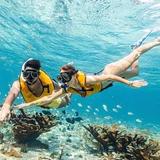 Book an Excursion