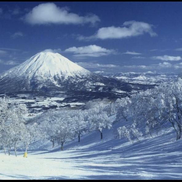 Niseko Honeymoon