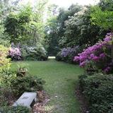Kalmia Gardens