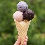 Spotted Duck Creamery