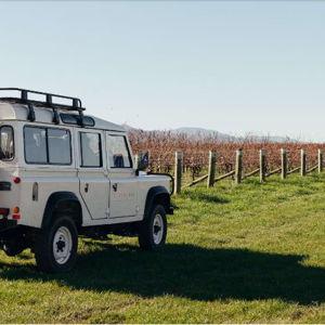 Cloud Bay Wine Tour
