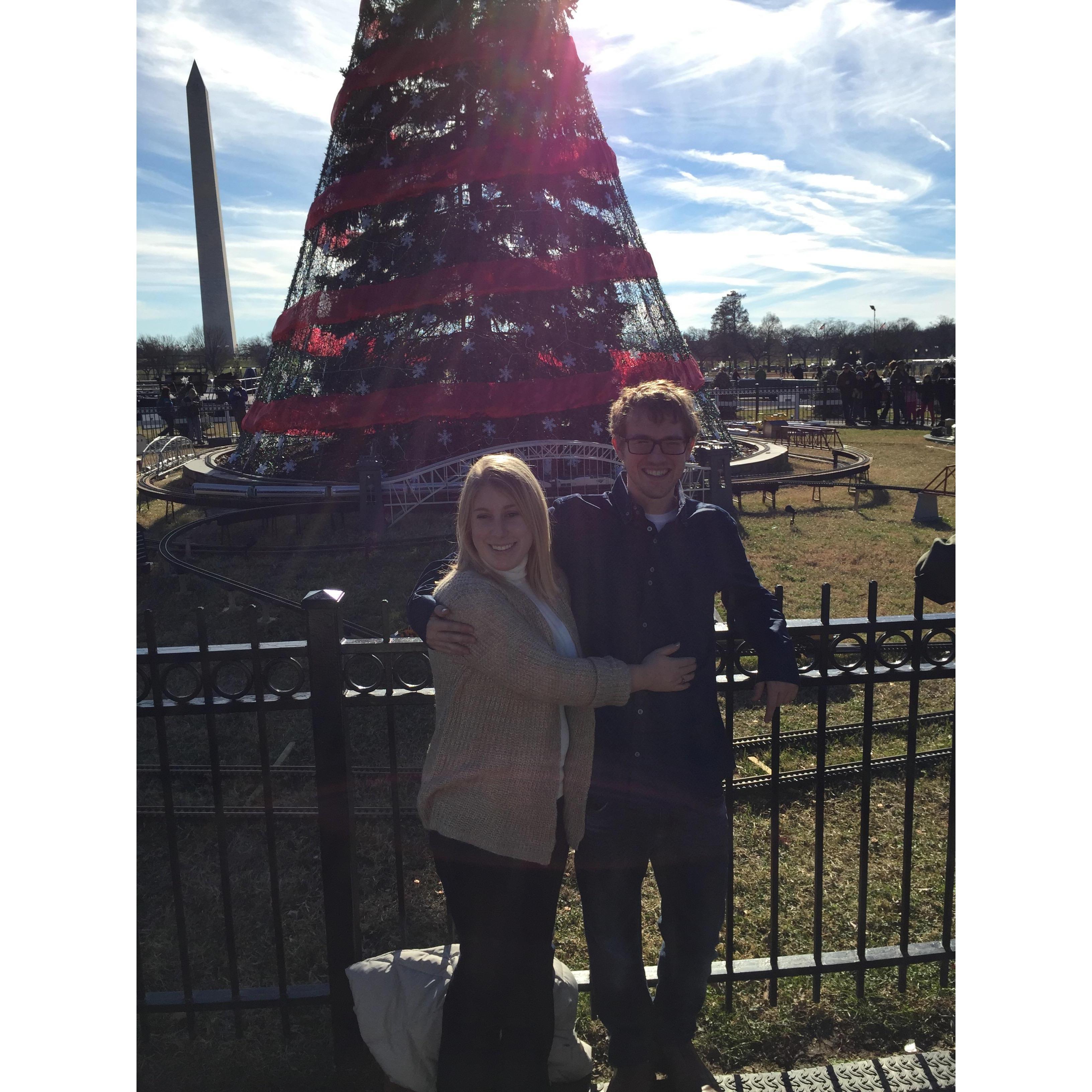 Christmas trees in DC