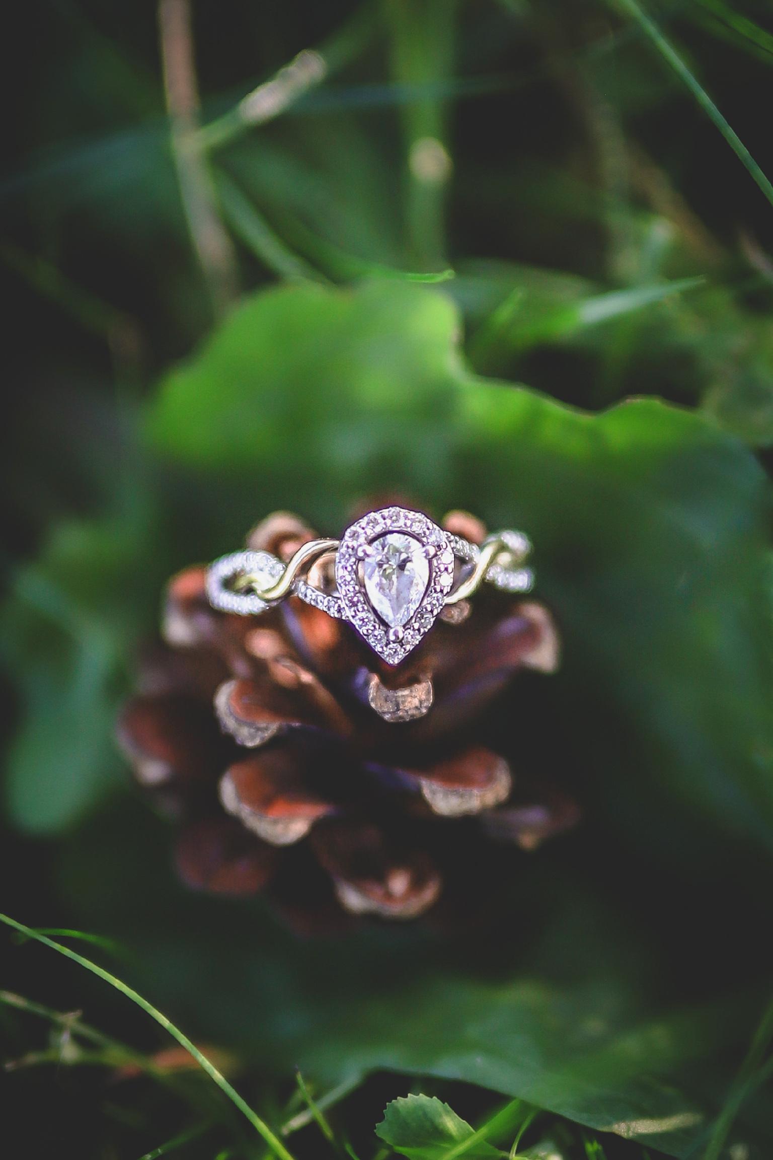 The Wedding Website of Andrew Petty and Casey Hodgkiss