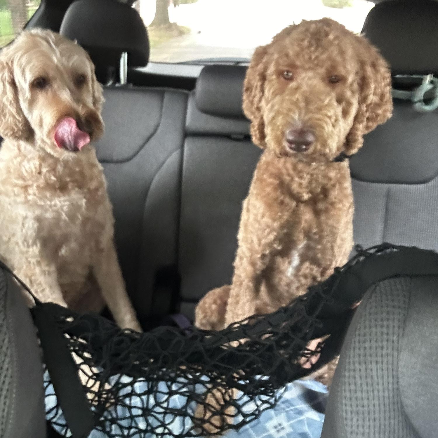 Sophie & Annie!