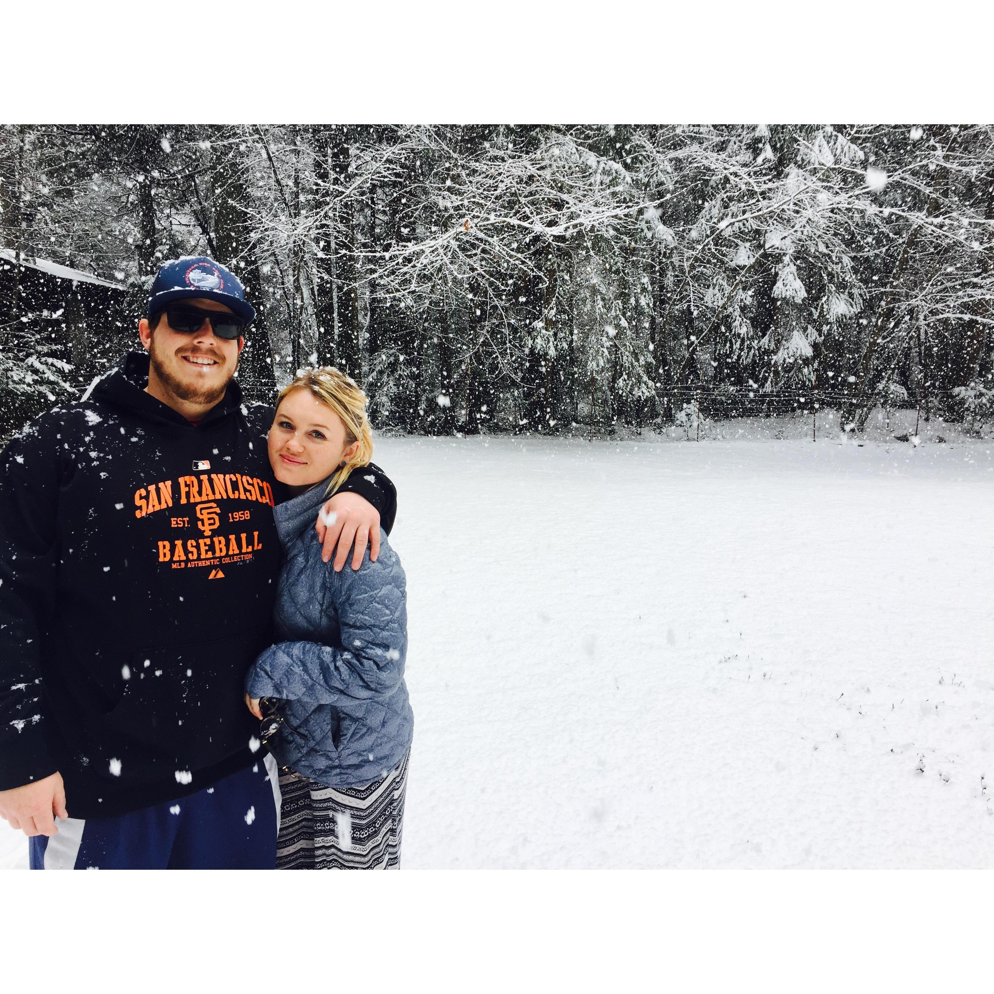 White Christmas at the Bug-2016