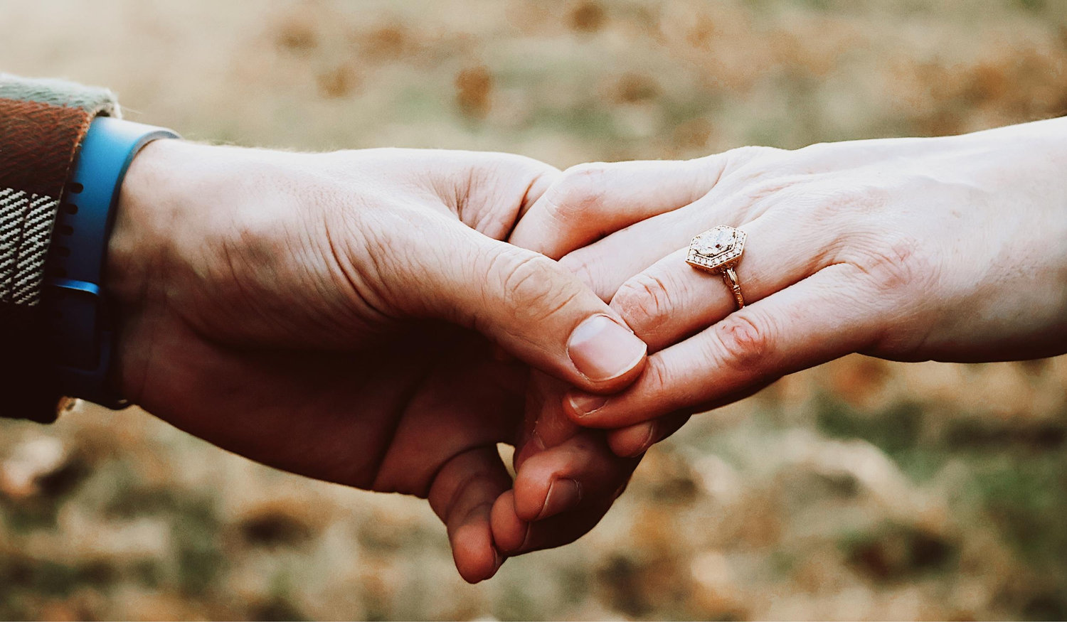 The Wedding Website of Brittany Green and David Wilk