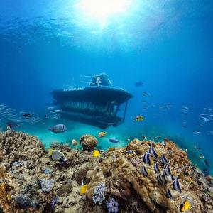 Mauritius Submarine Tour