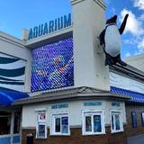 Jenkinson's Aquarium