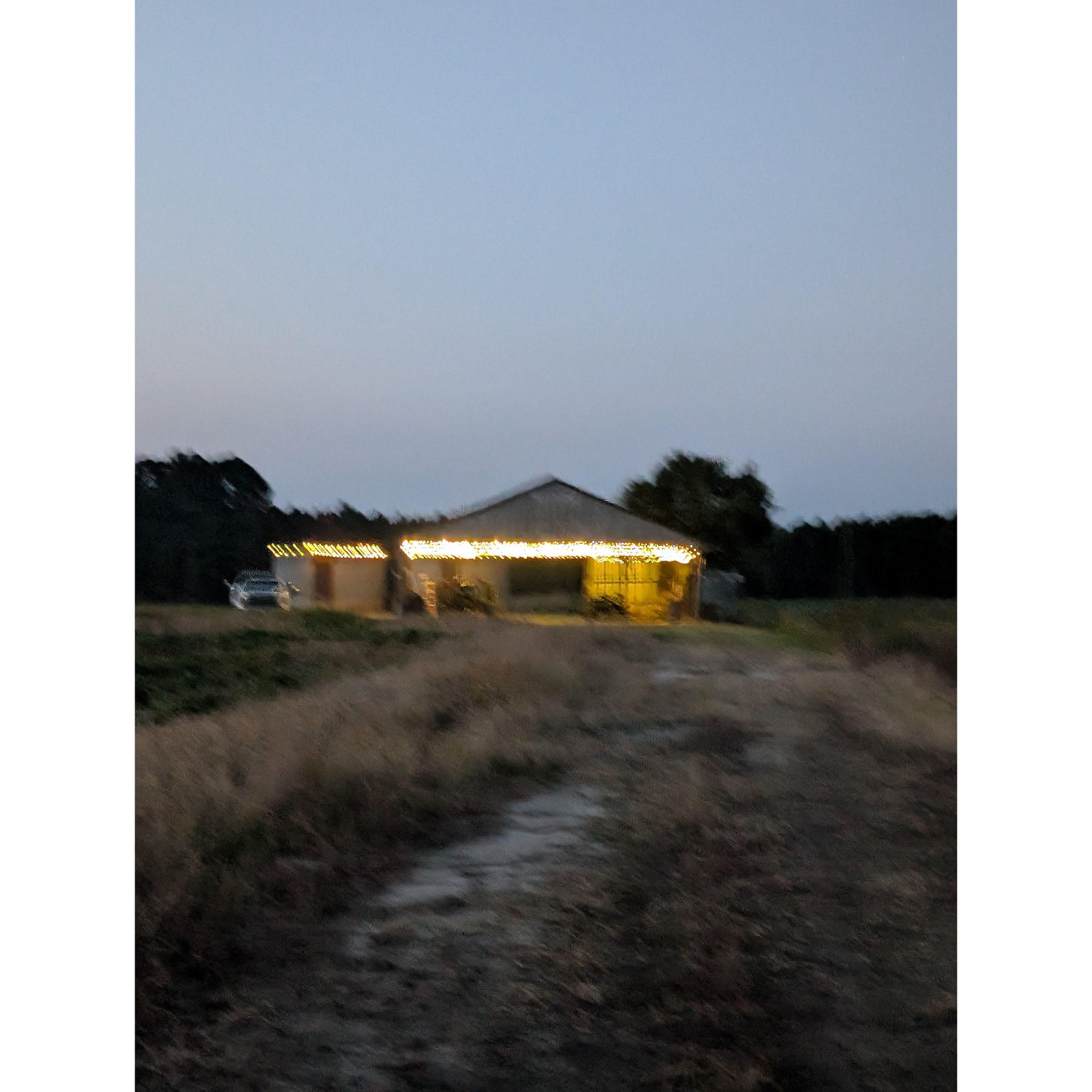 The Farm