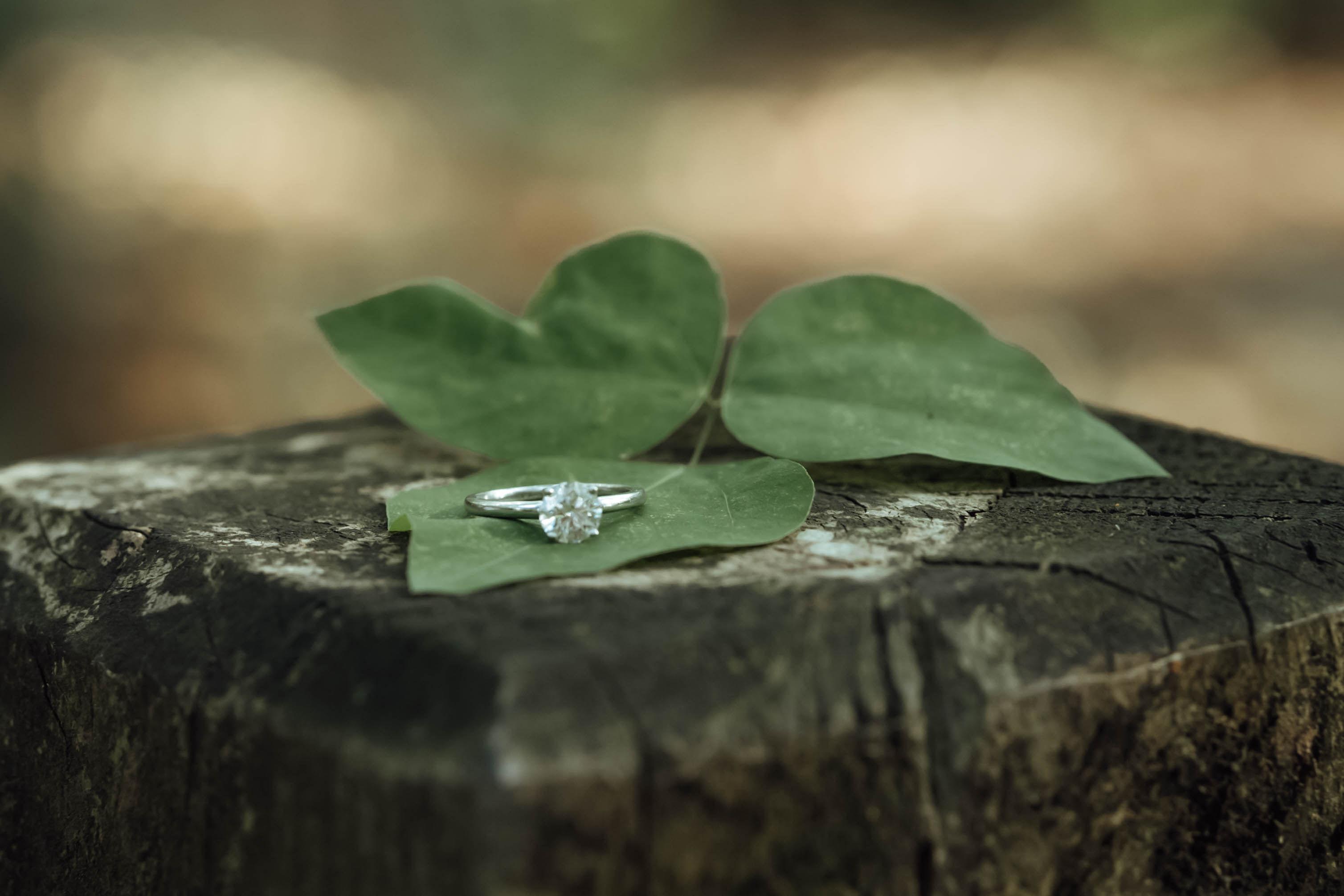 The Wedding Website of Jonah Martin Williams and Sara Ann Cunningham
