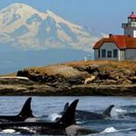 Anacortes, Wa