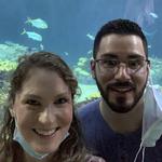 Shedd Aquarium