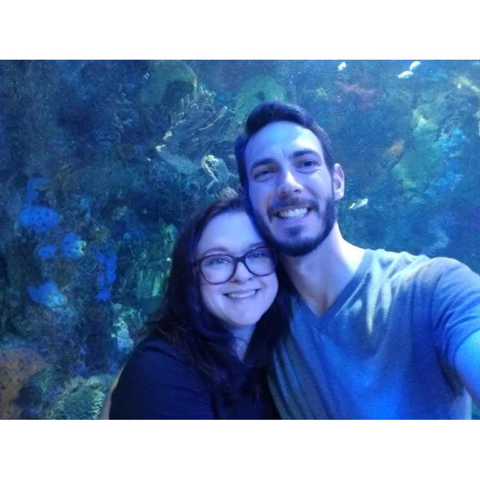 VA Beach Aquarium