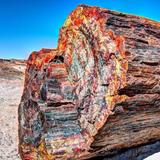 Petrified Forest National Park