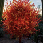 Desert Botanical Garden