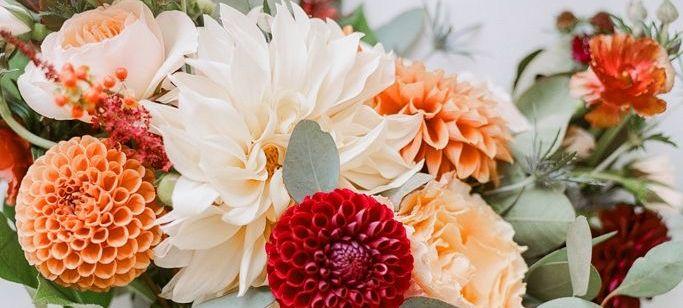 The Wedding Website of Alana Batten and Jayson Down