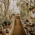 Moorten Botanical Garden