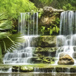 Zilker Botanical Garden