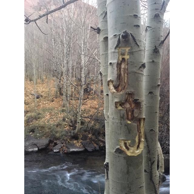 Years later, recarving our "J's" in bishop