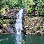Waimea Valley Trails