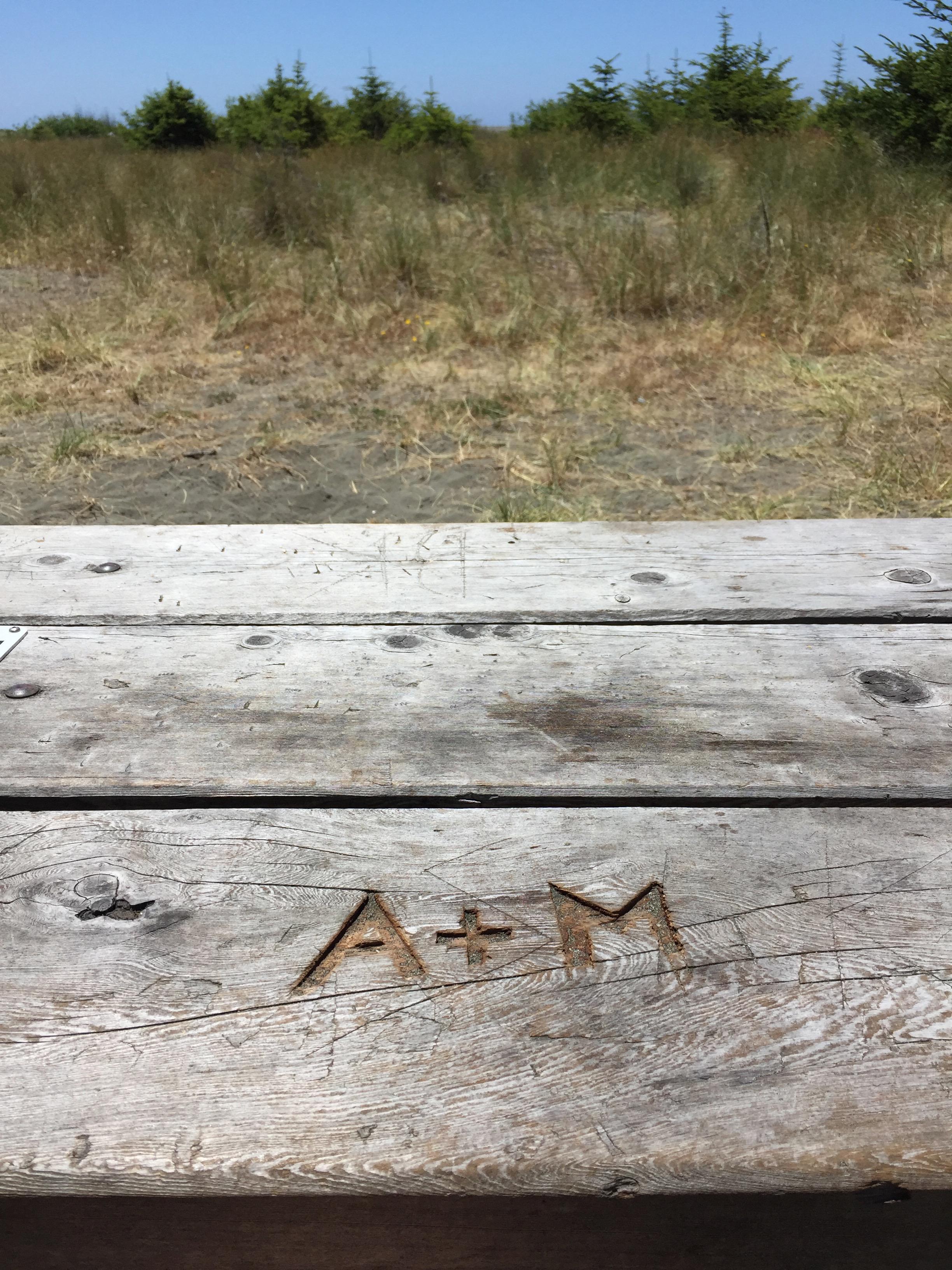 The Wedding Website of Ash Nicole Draper and Mikael Russell Cejtin