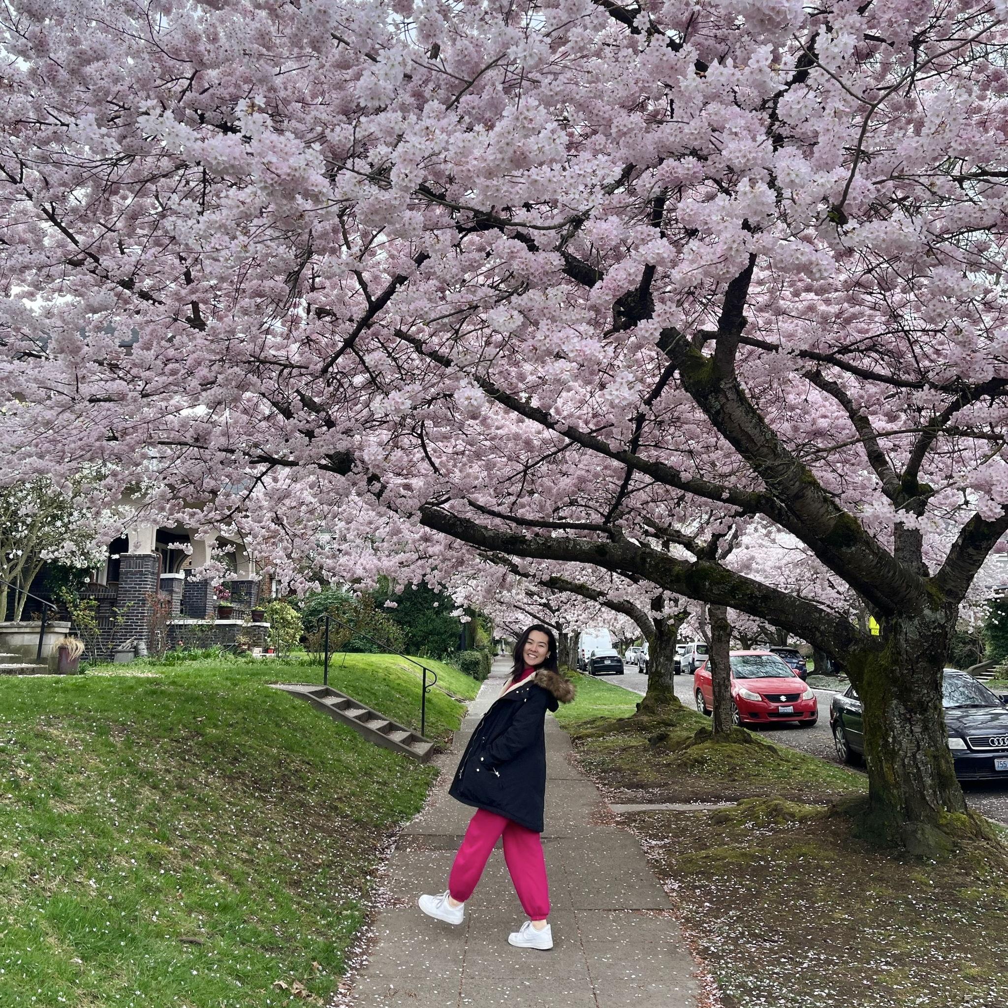Mia's first official day as an Seattleite! Cade took her to see the cherry blossoms!
