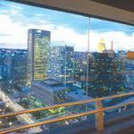 Top of the World Observation Level