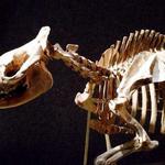 Denver Museum of Nature & Science