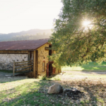 Jack London State Historic Park