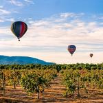 A Grape Escape Balloon Adventure