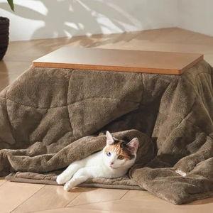 Kotatsu Fund