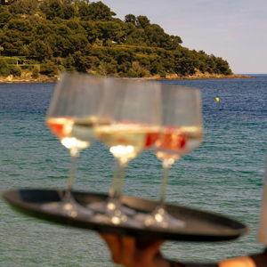 Honeymoon Wine Tasting