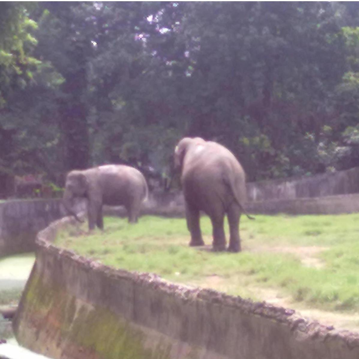 Again, nothing to do with us. But exactly what we did on our first date. Because according to our knowledge the zoo was the only place where we can spend some time together.