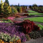 The Oregon Garden