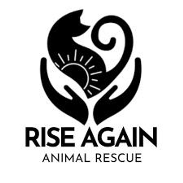 Rise Again Animal Rescue Donation Fund