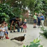 National Aviary