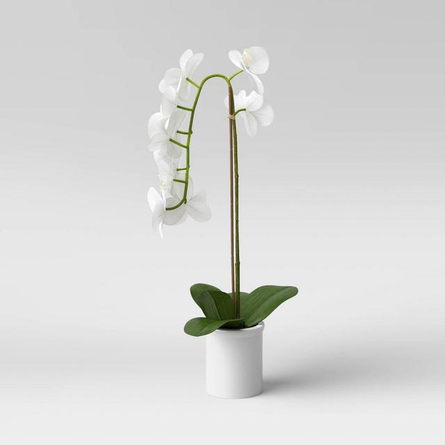 21" x 9" Artificial Orchid Arrangement in Pot White - Threshold™