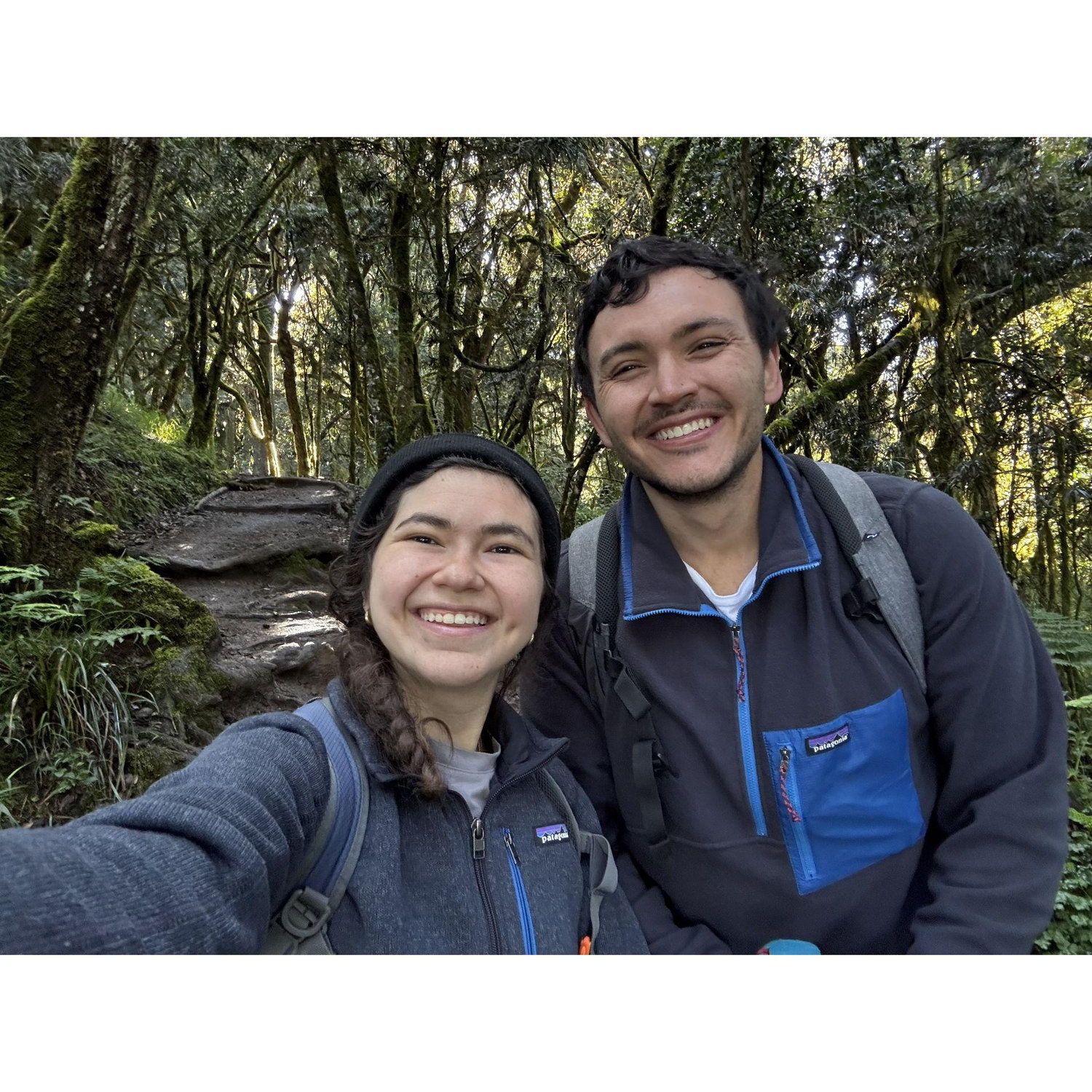 En los bosques de Kilimanjaro