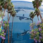 Aquarium of the Pacific