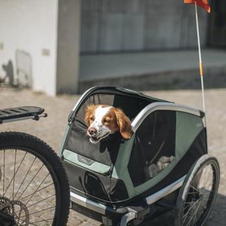 Bexey Dog Bike Trailer + Stroller
