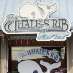 The Whale's Rib