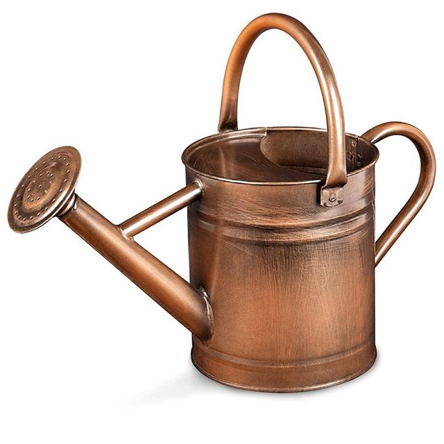 Homarden Half Gallon Copper Colored Metal Indoor Outdoor Plant Watering Can for House Plants with Removable Spout, 80oz
